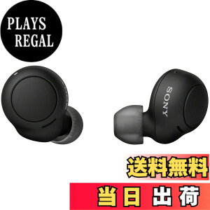 �y���������z�\�j�[(SONY) ���S���C�����X�C���z�� WF-C500 : /�y�ʏ��^5.4g/�����x�ʘb�i��/�ȒP�y�A�����O/IPX4�h�H���\/�u���b�N WF-C500 BZ
