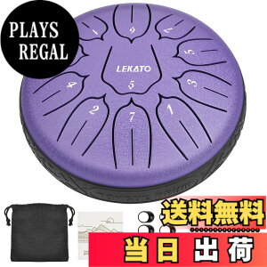 �y���������z�X���b�g�h���� �X�`�[���^���O�h���� LEKATO �����h���� 11�� 6�C���` �Ŋy�� �}���b�g ���[�o�b�O�t�� �ґz ���K �T (�p�[�v��)