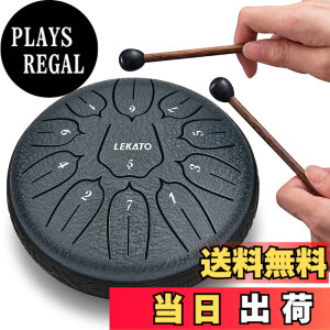 �y���������z�X���b�g�h���� �X�`�[���^���O�h���� LEKATO �����h���� 11�� 6�C���` �Ŋy�� �}���b�g ���[�o�b�O�t�� �ґz ���K �T (�l�C�r�[�u���[)