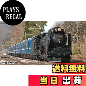 �y���������zKATO N�Q�[�W D51 498 (�����t) 2016-A �S���͌^ ���C�@�֎� ��