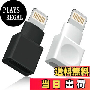 �y���������z���C�g�j���O�����P�[�u�� �A�_�v�^�[ 2�_�p�b�N Apple(�A�b�v��) MFI�F�� iPhone�[�d�� �����P�[�u�� �I�X�^-���X�^ �h�b�N �G�N�X�e���_�[ iPhone 13 12 11 X XS XR 8 7 6 5 iPad�Ή� �I�[�f