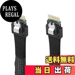 �y���������zTwozoh SAS SFF-8654 to SFF-8654�P�[�u�� SAS SFF-8654�P�[�u�� 38�s���T�[�o�[HDD�f�[�^�]���P�[�u�� �T�[�o�[/�f�[�^�X�g���[�W/���[�N�X�e�[�V�����p 1M �K�i���������s��