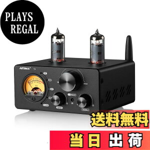 �y���������zAIYIMA T9 Bluetooth 5.0 100W*2�`���[�u�A���v 2.0�`�����l�� �^��� USB DAC�X�e���IHiFi�z�[���I�[�f�B�I�f�W�^���A���v RCA/COA/Opt/PC-USB�AVU���[�^�t��