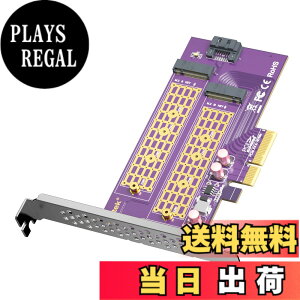 �y���������z10Gtek 2�|�[�g M.2 NVMe �A�_�v�^�[ M-Key��B-Key, PCIe X4 Gen3. �g���J�[�h, ���݃C���^�[�t�F�[�X�{�[�h, �t���n�C�g/���[�v���t�@�C���u���P�b�g�t��