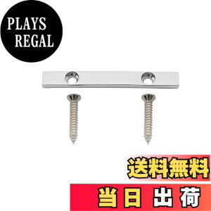 �y���������zMusiclily Pro 45mm �u���X �x�[�X�X�g�����O���e�C�i�[ �e���V�����o�[5���G���L�x�[�X�p�A�N���[��