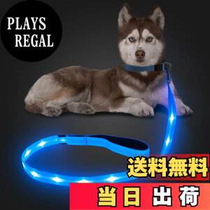 �y���������zCandofly ���ˌ^ LED ���p���[�h - �ÈłŌ��錢 ���C�g USB �[�d���Ɩ��t�����p���[�v�A4 �t�B�[�g�̑ϋv���̂���ϐ����_�Ō����[�h�A�y�b�g�̌��̖�̎U���p (��)