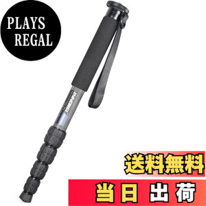 �y���������zINNOREL ��r �J�����p �J�[�{���� 22lbs/10kg�ω׏d 5�Z�N�V�����L�k�\ �R���p�N�g �֗� �y�� ���s�p�iRM285C�j