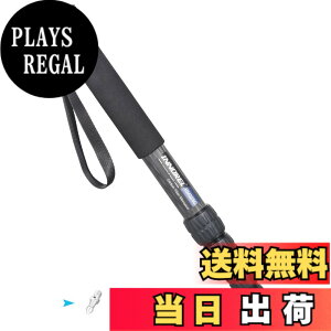�y���������zINNOREL ��r �J�����p �J�[�{���� 26lb/12kg�ω׏d 5�Z�N�V�����L�k�\ �R���p�N�g �֗� �y�� ���s�p�iRM325C�j