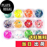【送料無料】YFFSFDC クラッシュ ホログラム 12色セット ネオンフレーク 素材 手芸 レジン 封入 パーツ …