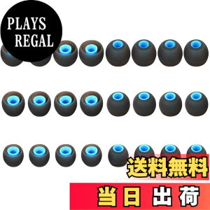�y���������zA-Pcas �C���[�s�[�X �C���[�`�b�v ���a�_�C����3.8mm-4.5mm�J�i���^�C���z�� �����p Ja�]bra Sport Pace�pSO-NY�p wi-c310�p mdr�V���[�Y�J�i���^�C���z���p xba�V���[�Y�J�i���^�C���z���p 2