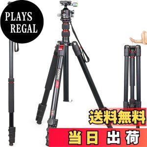 �y���������z��჌�t�O�r INNOREL �g���x���O�r ��r�ώ� �A���~�� 15KG�ω׏d 197CM�ő��ƍ��� 36MM��d�S�_��t�� �R���p�N�g�O�r �J�������~���[���X�p �y�� RT30+D36