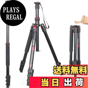 �y���������z��჌�t�O�r INNOREL �g���x���O�r ��r�ώ� �A���~�� 15KG�ω׏d 197CM�ő��ƍ��� �R���p�N�g�O�r �J�������~���[���X�p �y�� RT30