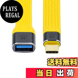 �y���������zchenyang USB - USB C�P�[�u�� USB 3.1 Type C �I�X - USB 3.0 Type A ���X OTG �t���b�g �X���� FPC �f�[�^�P�[�u�� �m�[�g�p�\�R�� & �g�ѓd�b�p �C�G���[ 10Gbps