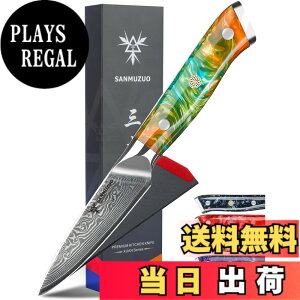 �y���������zSANMUZUO 3.5 Inch Paring Knife - Kitchen Fruit Vegetable Knife Damascus Steel & Resin Handle - XUAN Series (Fantasy Orange)