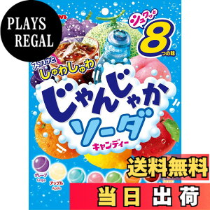 �y���������z���C�I���َq ����񂶂Ⴉ�\�[�_ 114gx6��