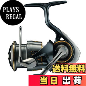 �y���������z�_�C��(DAIWA) �X�s�j���O���[�� 23AIRITY(�G�A���e�B) LT4000-XH