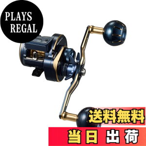 �y���������z�_�C��(DAIWA) �J�E���^�[�t�L�I�t�V���A�x�C�g���[�� �\���e�B�KIC 100HL-DH