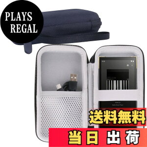 �y���������zWERJIA ���[�P�[�X�Ή� �\�j�[(SONY) �E�H�[�N�}�� NW-ZX707 ���[�P�[�X (NW-ZX707 �P�[�X)