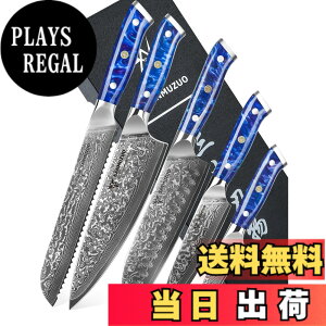 �y���������zSANMUZUO Chef Cooking Knives Set- Kitchen Knife Set of 5 Piece - Ultra-Sharp VG10 Damascus Steel & Resin Handle - Xuan Series (Sapphire Blue)