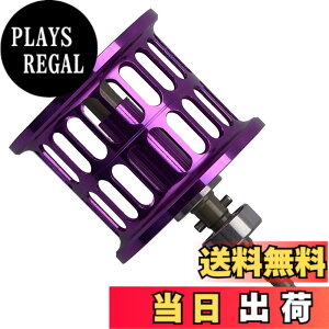 �y���������zHEIGHTEN ���[�� �X�v�[�� �_�C��(DAIWA) PR100 PT100 �x�C�g���[�� �ւ��X�v�[�� �x�A�����O�t�� (�p�[�v��) (625)