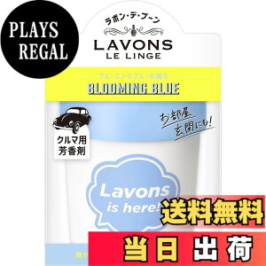 �y���������z���{��(Lavons) �E�f�E�u�[�� [�ԗp �F����] �Q���^�C�v �u���[�~���O�u���[ ���L �|�b�h ���X�N�̍��� �I�t�z���C�g 110g
