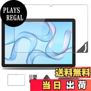 �y���������zWIRELESS GATE wg_tablet_01 �p �t�B���� �ی�t�B���� �K���X�t�B���� �yNOUKAJU�z Hi10 XPro 10.1�C���` �����K���X�t�B���� ���t���t���[���t�� �����ߗ� �d�x9H ��U�h�~ �C�A�h�~ �w��