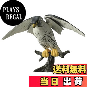 ���i�摜