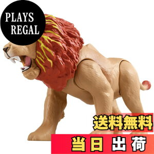 ���i�摜