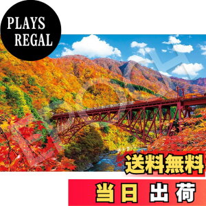 �y���������z�G�|�b�N�� 1000�s�[�X �W�O�\�[�p�Y�� ���{���i �H����̍������J�ƃg���b�R�d�ԁ[�x�R (50x75cm) 09-053s �̂�t�� �w���t�� �_�����t�� EPOCH