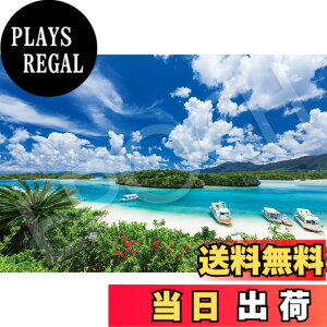 �y���������z�G�|�b�N�� 1000�s�[�X �W�O�\�[�p�Y�� ���{���i �Ί_���̕ɂ��C-���� (50x75cm) 09-039s �̂�t�� �w���t�� �_�����t�� EPOCH