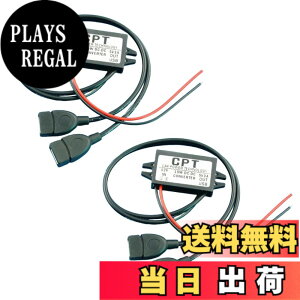 �y���������zRenjzle USB�d���A�_�v�^ �f���A���_�u�� 2 USB DC-DC �J�[�R���o�[�^ ���W���[���ԗp�d�͕ϊ��� �d���R���o�[�^ (��*2)