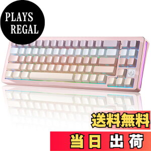 �y���������zYUNZII AL71 68% �Q�[�~���O�L�[�{�[�h �t���A���~CNC �z�b�g�X���b�v�Ή� ���� �K�X�P�b�g ���J�j�J���L�[�{�[�h NKRO 2.4GHz���C�����XBT5.0/USB-C �L�� RGB�o�b�N���C�g Win/Mac�p �����蕨