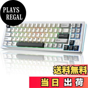 �y���������zYUNZII AL71 ���J�j�J���L�[�{�[�h 68% �R���p�N�g �t���A���~CNC���H �K�X�P�b�g�\�� [Bluetooth/2.4G/USB-C �O���[�h�ڑ�] �z�b�g�X���b�v�Ή� NKRO RGB�o�b�N���C�g Win/Mac���Ή� �Z�K�F��
