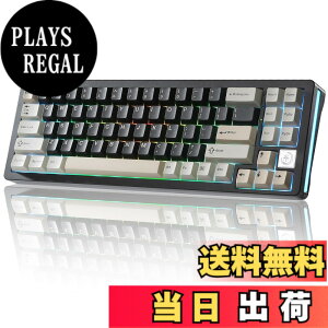�y���������zYUNZII AL71 68% �Q�[�~���O�L�[�{�[�h �t���A���~CNC �z�b�g�X���b�v�Ή� ���� �K�X�P�b�g ���J�j�J���L�[�{�[�h NKRO 2.4GHz���C�����XBT5.0/USB-C �L�� RGB�o�b�N���C�g Win/Mac�p �����蕨