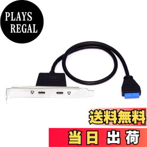 �y���������zxiwai �f���A���|�[�g USB 3.0 USB-C Type-C ���X - 20 �s���w�b�_�[���� 5Gbps �f�[�^�`�� PCI-E �o�b�N�p�l���P�[�u�� �R���s���[�^�[�}�U�[�{�[�h�p 50cm