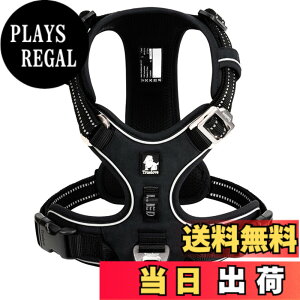 �y���������zcocomall 2023�ŐV ���p�n�[�l�X ���p���� �h�b�O �y�b�g�p�i 3M���ˍޗ� �P�� �i�C������ ���^���A���^���A��^���Ɍ��� �ʋC�� ���߉\ (XS, �u���b�N)