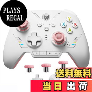 �y���������zPC �R���g���[���[�ABIGBIG WON Rainbow 2 SE ���C�����X �R���g���[���[ ���[�V���� �R���g���[���A�z�[�����ʃg���K�[�A12 �r�b�g ADC�A�W���C�X�e�B�b�N 3 �Z�b�g�A4�����\���L�[�A8