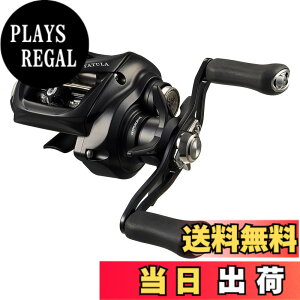 �y���������z�_�C��(DAIWA) �x�C�g���[�� 24TATULA TW 100HL