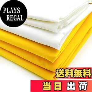 �y���������zINTBUYING �X�N���[�����b�V�� �i�C�������b�V�� �V���N�X�N���[�����b�V�� �V���N�X�N���[������p ���ŗp 1m��x3m (100Mesh(40T)White)