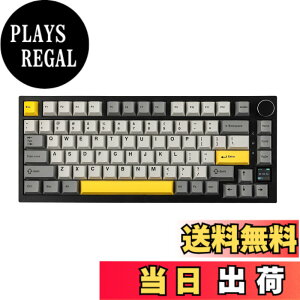 �y���������zEPOMAKER Ajazz AK820 Pro �Q�[�~���O�L�[�{�[�h 75% �K�X�P�b�g���� ���J�j�J���L�[�{�[�h TFT�X�N���[�� 3���[�h(Bluetooth 5.1/2.4G���C�����X&Type-C�L��) �����t�H�[������ (Grey, Ajazz Flying Fi