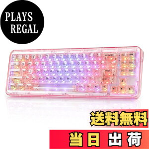 �y���������zYUNZII X71 ���J�j�J���Q�[�~���O�L�[�{�[�h �����L�[�L���b�v 71�L�[ 68%�z�� ���C�����X �z�b�g�X���b�v�Ή� BT5.0/2.4G/USB-C �K�X�P�b�g���� RGB ���� Windows/Mac�p �Z�K�F�؎擾�i�N��