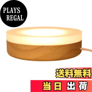�y���������zHIGHAWK����W���� LED �f�B�X�v���C���C�g ���͋C USB�^�C�v �����v��� �O�F �X�|�b�g���C�g �u���� �C���e���A �����\�i���E���h�E���a10cm�j