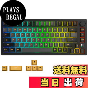 �y���������zDAREU EK75PRO ���J�j�J���L�[�{�[�h ���� �e���L�[���X 75% �Q�[�~���O�L�[�{�[�h 2.4G���C�����X/Bluetooth/�L��USB�ڑ��\ 81�L�[ �p��z�� �K�X�P�b�g�}�E���g RGB �z�b�g�X���b�v��