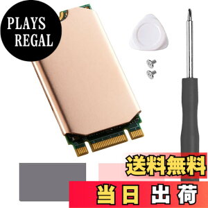 �y���������zHaojiaho M.2 2242 NVME SSD�p �q�[�g�V���N ���� �M�p�b�h�t�� Nvme2242 �\���b�h �X�e�[�g �h���C�u ���W�G�[�^�[ �C���L�b�g