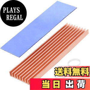 �y���������zHaojiaho �����q�[�g�V���N 70mmx21mmx6mm �M�\���΍� M.2 SSD PS5 ������ �m�[�gPC�p �q�[�g�V���N
