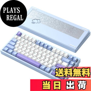 �y���������z�yWOBKEY Rainy 75�L�[�{�[�h�z�J���̂悤�ȑŌ��� ���J�j�J���L�[�{�[�h 3WAY�ڑ� OS�݊��� �z�b�g�X���b�v��VIA�̑Ή� �J�X�^�}�C�Y�� �K�X�P�b�g�f�U�C�� �A���~�j�E���f�ގg�p RG