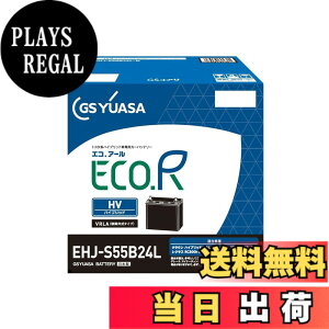 �y���������zGS���A�T (�W�[�G�X���A�T) EHJ S55B24L ECO.R HV �g���^�n�n�C�u���b�g��p�Ԑ�p ��@�p�o�b�e���[ GS YUASA 2024�N���f��