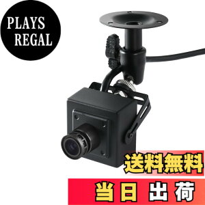 �y���������zREVODATA 5MP POE �~�j IP �J�����A360 �x�����\�}�E���g�AUltraHD �������^�Z�L�����e�B �J���� 3.6mm �����Y (75° FOV)�A���[�V�������o�AH.265/H.264�A�X�}�[�g�t�H��/PC �A�v�� (I706ZJ-P-TS)