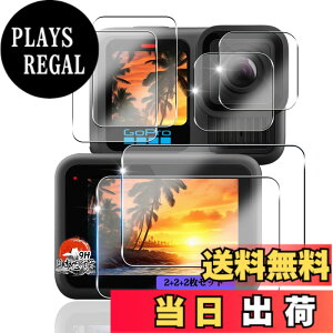 �y���������z�p gopro hero 13 black �K���X�t�B���� �t���ی�t�B���� �y6���Z�b�g ���YAGC���Ɏq�f�ށz �Ή� GoPro HERO13 �t�B���� ���C����ʗp2��+�T�u��ʗp2��+LED�ی�t�B����2�� �d�x9H �ϏՌ� 