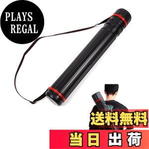�y���������zTerraShine �|�X�^�[�P�[�X �}�ʃP�[�X �~�� �T�C�Y���߉\ 45-70cm ��i���[�P�[�X �h�� �h�o �|�X�^�[ ���} �}�� �v���C�}�b�g �����^�� ���